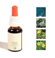 Bachovy kapky - Strach 25 ml Bachovy kapky - Strach 25 ml