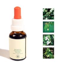 Bachovy kapky - Agresivita 25 ml - exp. 1/25 - 1 KS SKLADEM Bachovy kapky - Agresivita 25 ml - exp. 1/25 - 1 KS SKLADEM