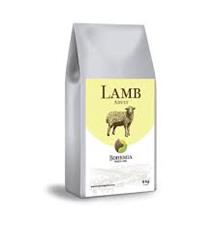 BOHEMIA FRESH Adult Lamb