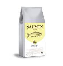 BOHEMIA FRESH Puppy Salmon