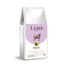 BOHEMIA HOLISTIC Adult Lamb