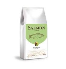 BOHEMIA WILD Adult Salmon