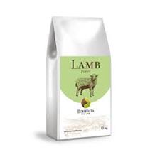 BOHEMIA Wild Puppy Lamb