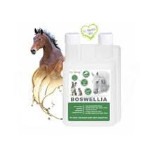 Dromy BOSWELLIA Serrata liq.