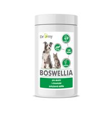 Dromy Boswellia 120 tbl.