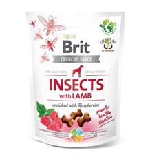 Brit Care Dog Crunchy Crack. Insec. Lamb Raspber 200 g Brit Care Dog Crunchy Crack. Insec. Lamb Raspber 200 g
