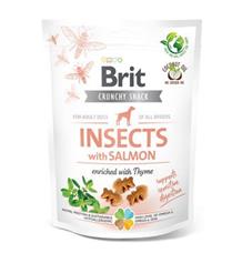 Brit Care Dog Crunchy Crack. Insec. Salmon Thyme