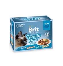 Brit Premium Cat D Fillets in Gravy Family Plate