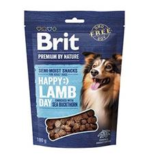 Brit Premium Dog by Nature SM Snacks Lamb 