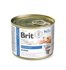 Brit VD Dog+Cat GF konz Recovery 