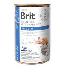 Brit VD Dog+Cat GF konz. Recovery 400 g Brit VD Dog+Cat GF konz. Recovery 400 g