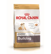 ROYAL CANIN Bulldog puppy