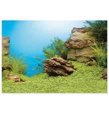 Pozadí JUWEL tapeta oboustranná 60 x 30 cm (1ks) Pozadí JUWEL tapeta oboustranná 60 x 30 cm (1ks)