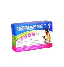 CAPRAVERUM DOG probioticum-prebioticum  30tbl