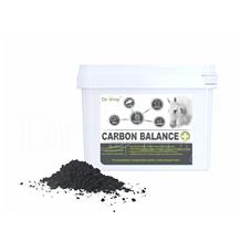 Dromy Carbon balance