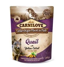Carnilove Dog Pouch Paté Quail & Yellow Carrot 300 g Carnilove Dog Pouch Paté Quail & Yellow Carrot 300 g