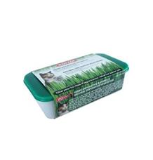 CATNIP - přírodní pochoutka pro kočky Zolux CATNIP - přírodní pochoutka pro kočky Zolux