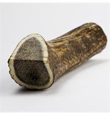 Jelení paroh pro psy GIGANT 180-240 g Jelení paroh pro psy GIGANT 180-240 g