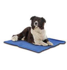 Chladící podložka Smarty M 50x60cm Chladící podložka Smarty M 50x60cm