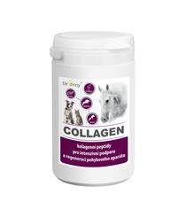 Dromy Collagen pro psy