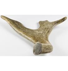 Dančí paroh pro psy mini 50-70g Dančí paroh pro psy mini 50-70g