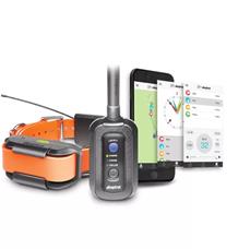 Dogtra Pathfinder - GPS a výcvikový obojek 1 ks Dogtra Pathfinder - GPS a výcvikový obojek 1 ks
