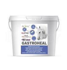 Dromy Gastroheal