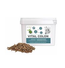 Dromy Vital Colon