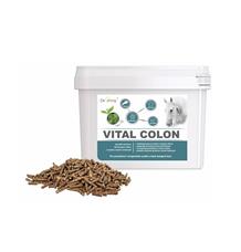 Dromy Vital Colon 3,3 kg Dromy Vital Colon 3,3 kg
