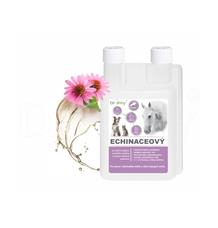 Dromy Echinaceový sirup 1000 ml
