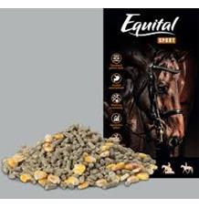 Equital Sport pro koně 