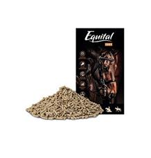 Equital Chov pro koně 