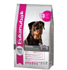 Eukanuba Rottweiler