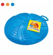 Frisbee Roger