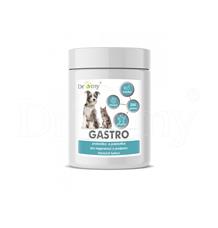 Dromy Gastro