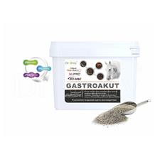 Dromy GastroAkut
