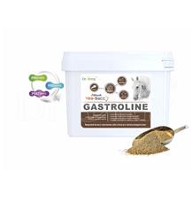 Dromy Gastroline 3000 g