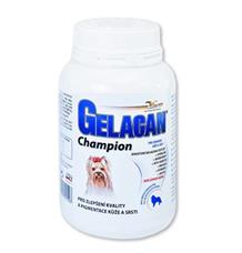 Gelacan Champion psi  barevná plemena 