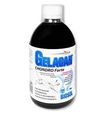 Gelacan Chondro Forte Biosol 500ml Gelacan Chondro Forte Biosol 500ml