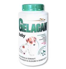 Gelacan Plus Baby 1 kg
