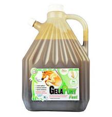 Gelapony Fast Biosol 3000 ml Gelapony Fast Biosol 3000 ml