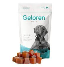 Geloren Dog