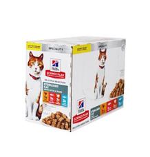 Hill’s Fel. SP Adult Ster.Chic&Fish&Trou&Tur Kaps 12x85g Hill’s Fel. SP Adult Ster.Chic&Fish&Trou&Tur Kaps 12x85g