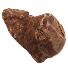 Hračka Epic PET přírodní žvýkací vřesový kořen M 1 ks Hračka Epic PET přírodní žvýkací vřesový kořen M 1 ks