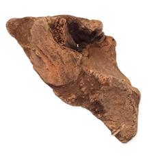 Hračka Epic PET přírodní žvýkací vřesový kořen XL 1 ks Hračka Epic PET přírodní žvýkací vřesový kořen XL 1 ks