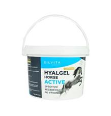 Hyalgel Horse Active 
