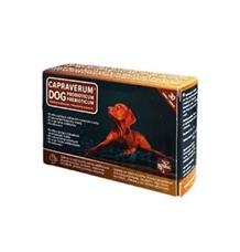 CAPRAVERUM DOG probioticum-prebioticum  30tbl