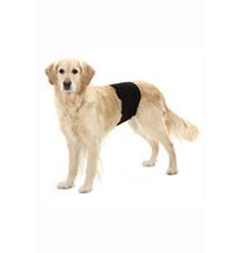 Kalhoty pro psy proti značkování