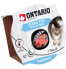 Kalíšek ONTARIO Fresh Brunch Kitten Ocean Fish