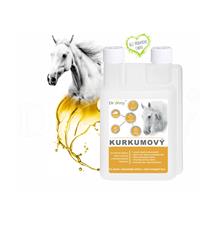 Dromy Kurkumový sirup 1000 ml